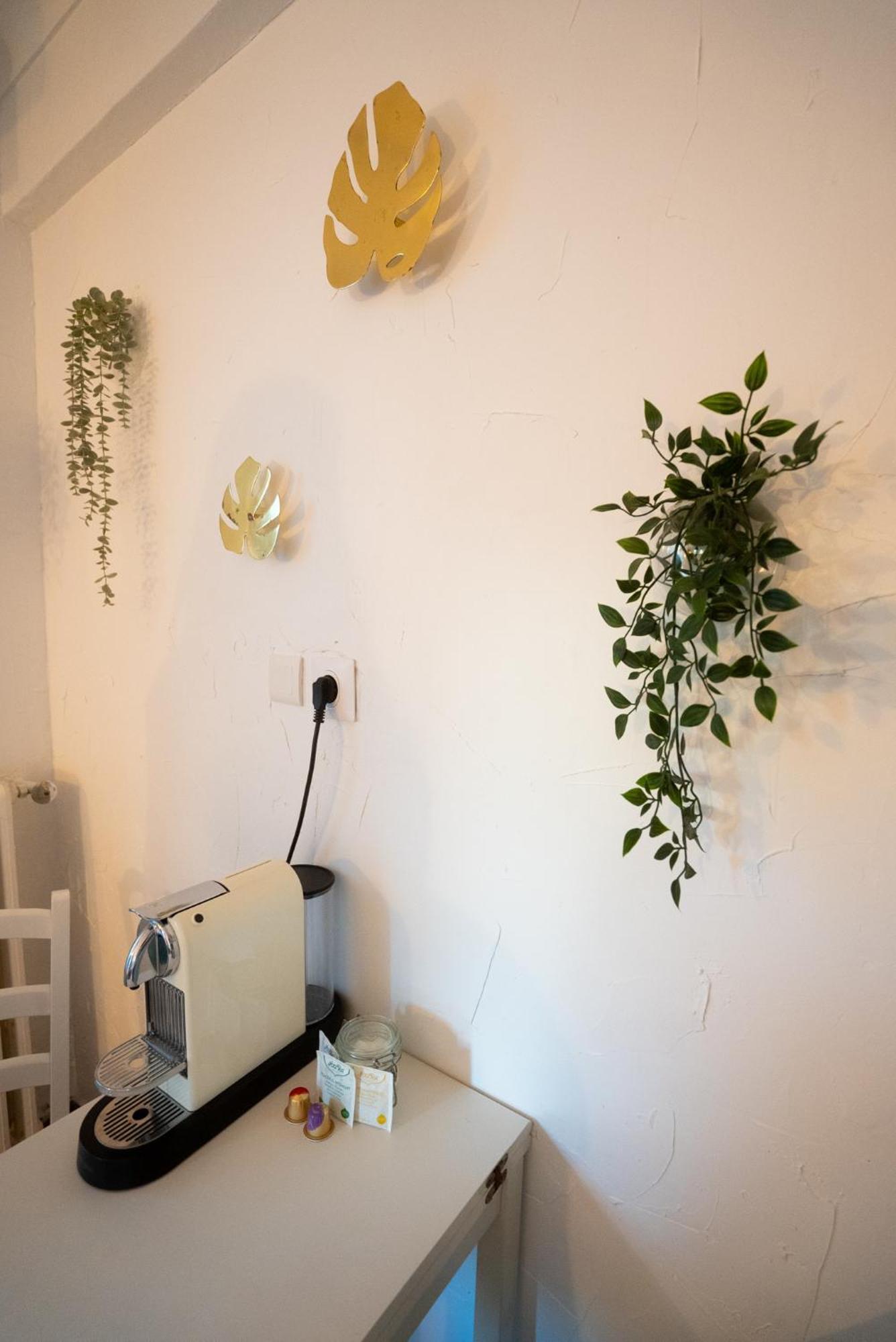 Appartement Location Studio Avec Loggia à Antibes Extérieur photo